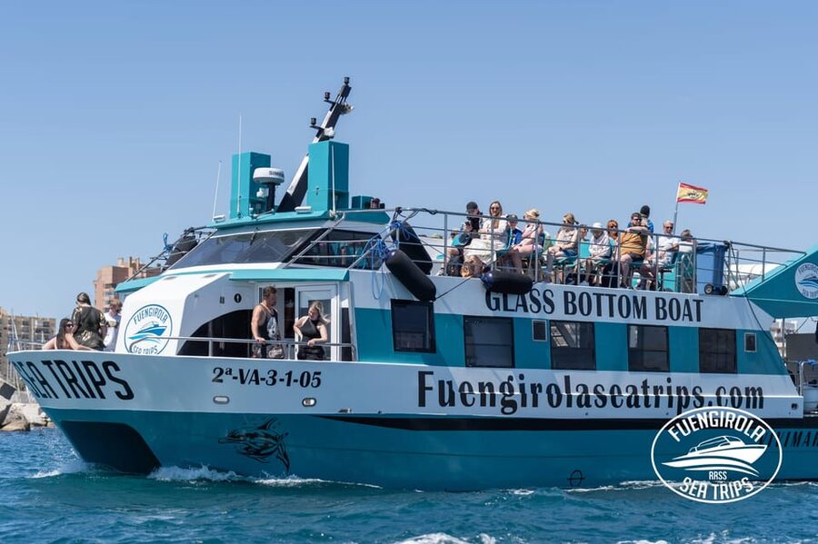 Fuengirola: Catamaran Tour to Spot Dolphins - Key points to know before you book