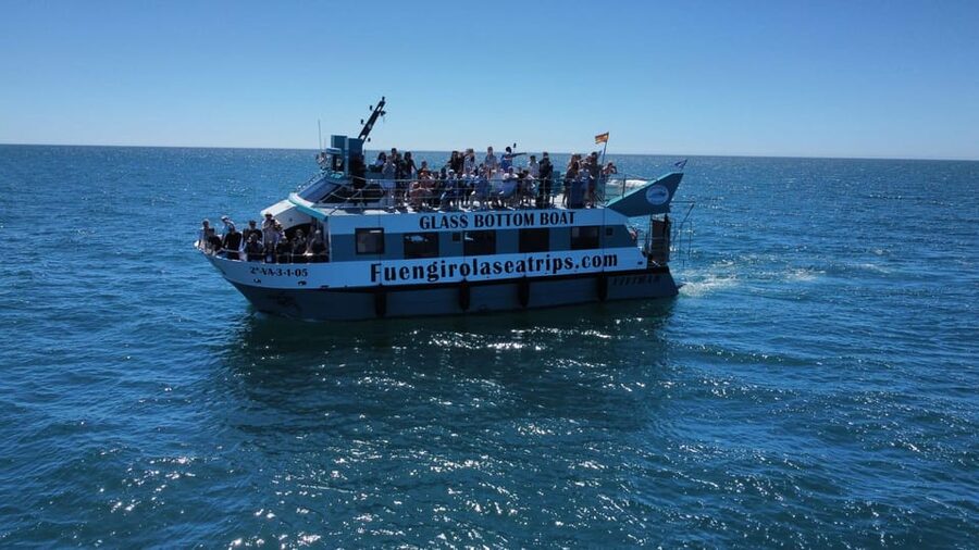 Fuengirola: Catamaran Tour to Spot Dolphins - Choosing the best departure time