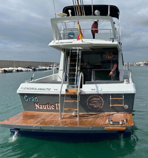 Fuengirola: Dolphin Spotting Tour - Leaving Puerto Deportivo Fuengirola