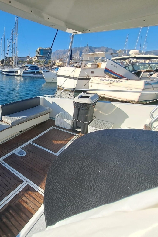 Fuengirola: Dolphin Spotting Tour - Two hours along the Fuengirola coast