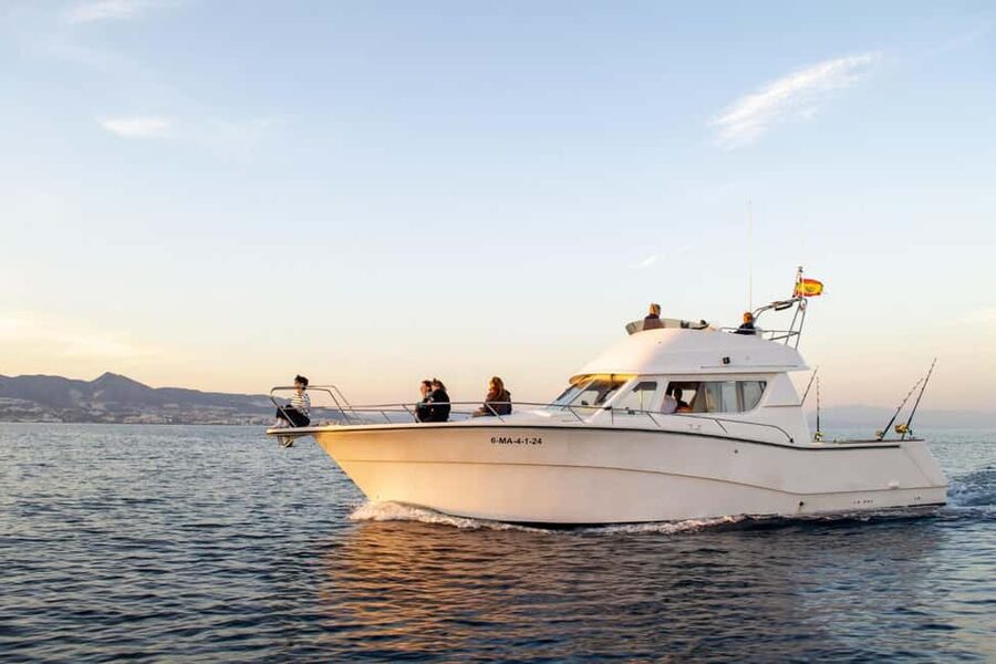 Fuengirola: Dolphin Watching Excursion with Refreshments - Key points to know before booking