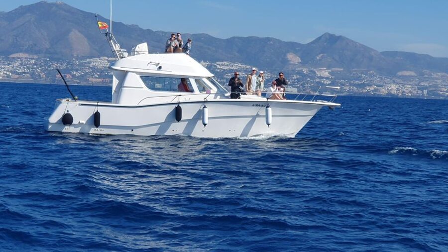 Fuengirola: Dolphin Watching Excursion with Refreshments - FAQ