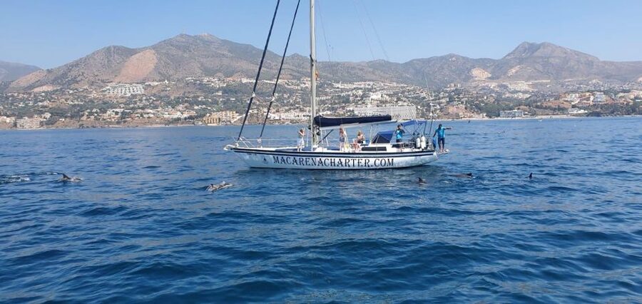 Fuengirola: Dolphin-Watching Sailing Tour with Drinks - Key points to know before booking