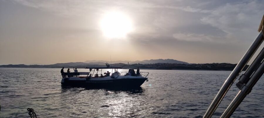 Fuengirola: Fantastic Dolphin Watching Yacht Tour with Drink - What the coastline looks like from the boat