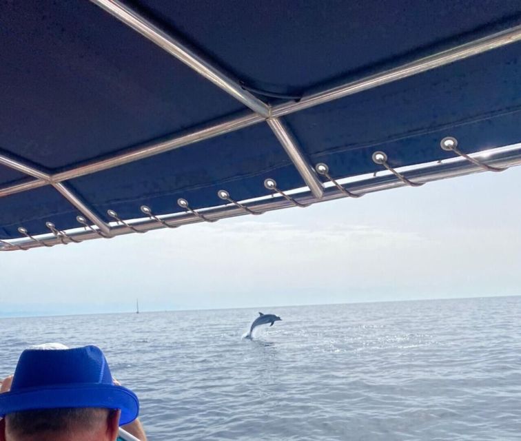 Fuengirola: Fantastic Dolphin Watching Yacht Tour with Drink - Commentary, languages, and the onboard drink