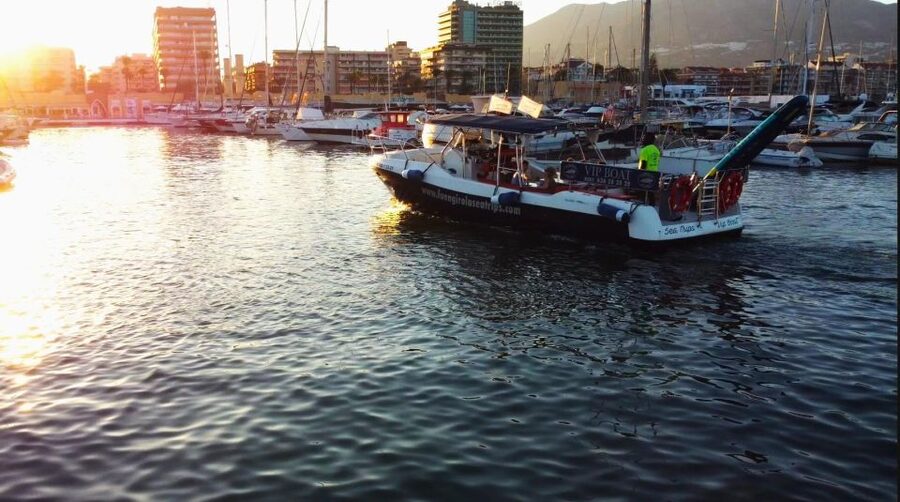 Fuengirola: Fantastic Dolphin Watching Yacht Tour with Drink - Who will enjoy this yacht trip most?