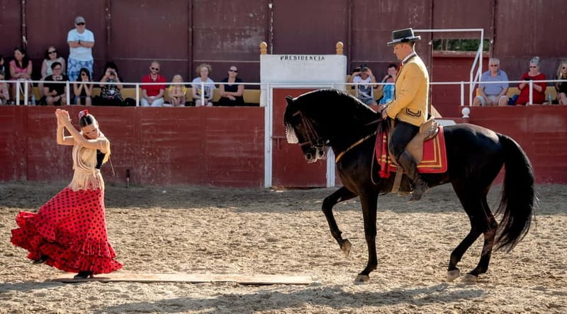 Fuengirola: Spanish Horse Show with Optional Dinner/Flamenco - What happens at Finca El Cartujano