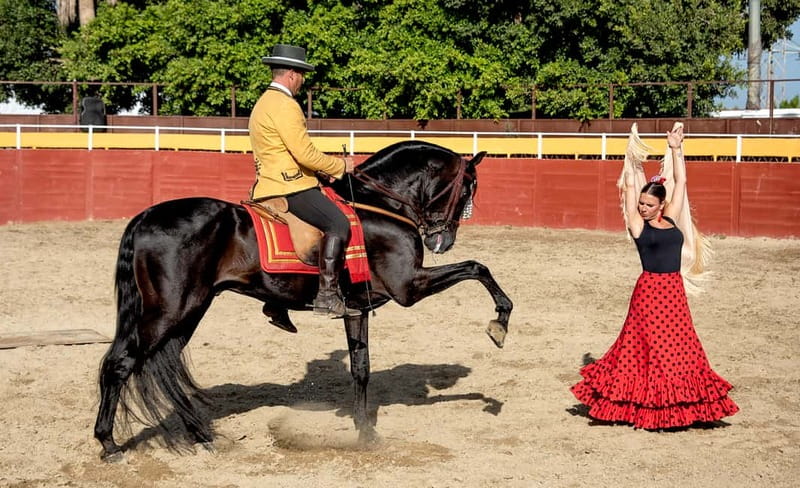 Fuengirola: Spanish Horse Show with Optional Dinner/Flamenco - Paella in the Sanchez family trophy room
