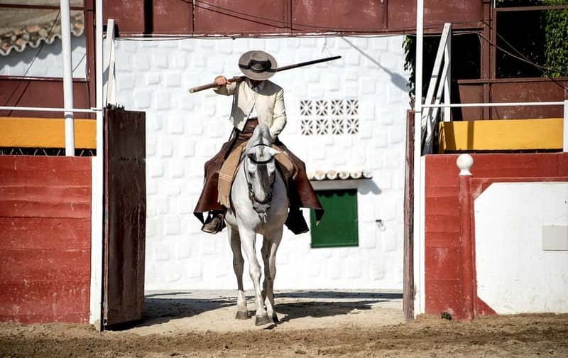 Fuengirola: Spanish Horse Show with Optional Dinner/Flamenco - Meeting the horses after the performance