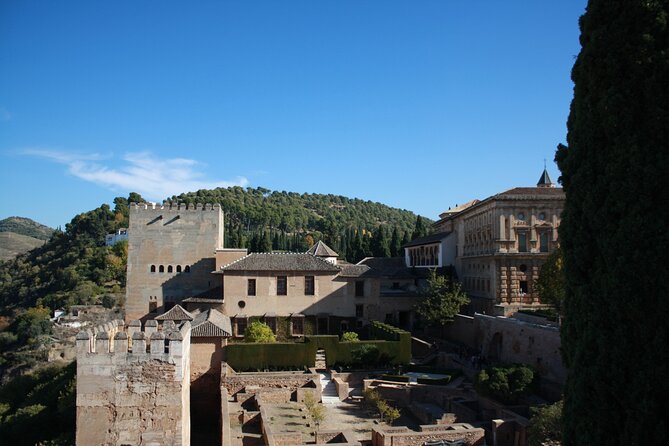 Full-Day Alhambra from Malaga: Choose Your Access & Pick Up Point - Guide quality and group management