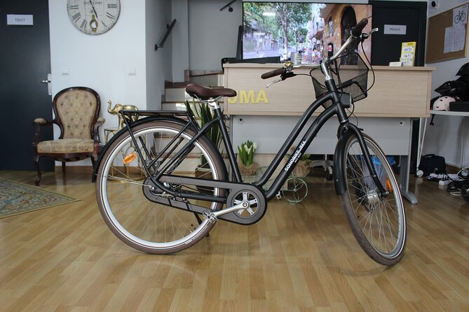 Full Day Bike Rental in Malaga - Choosing the right bicycle for Malaga