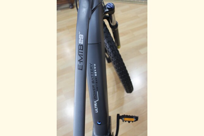Full Day Rental of Electric Mountain E-Bike - Key points at a glance