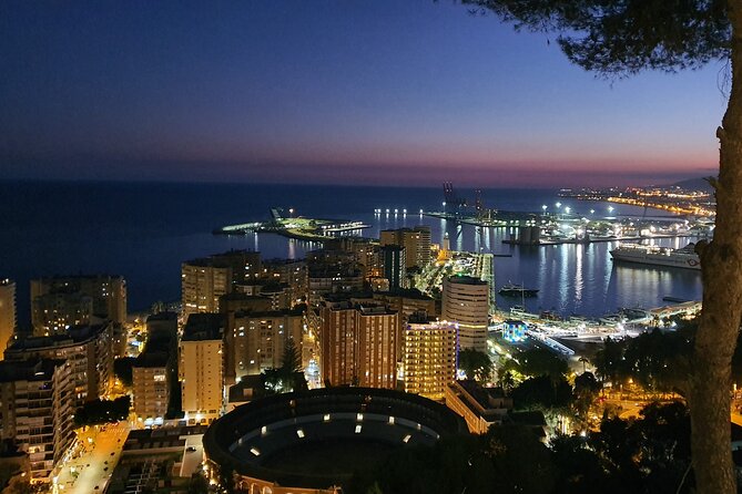 Gibralfaro Castle, Port & Bullring Segway Tour in Málaga - What $42.91 buys you