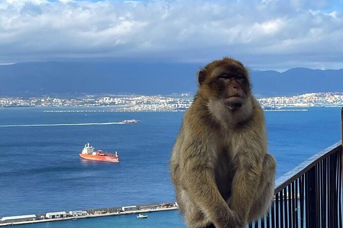 Gibraltar Private Daytrip From Malaga - A long but efficient day from Malaga