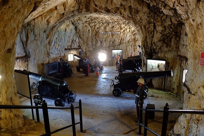 Gibraltar Private Tour from Malaga and Surrounding Areas - Main Street, lunch, and free time