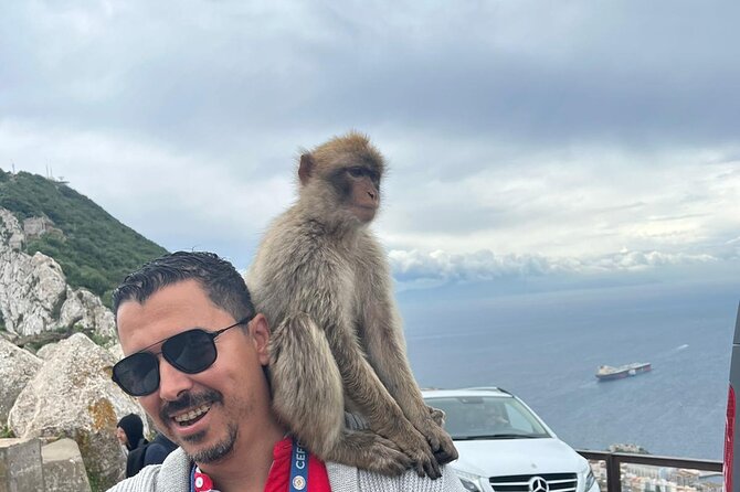Gibraltar Private Tour from Malaga and Surrounding Areas - What the private price buys you