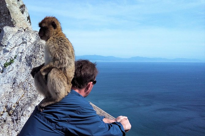 Gibraltar private tour from Marbella or Malaga - Why the private format can be worth the price