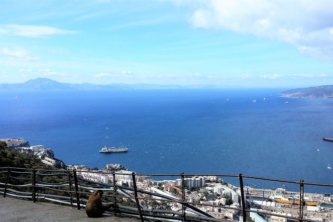 Gibraltar private trip from Marbella or Malaga - Two hours in Casemates Square and Main Street