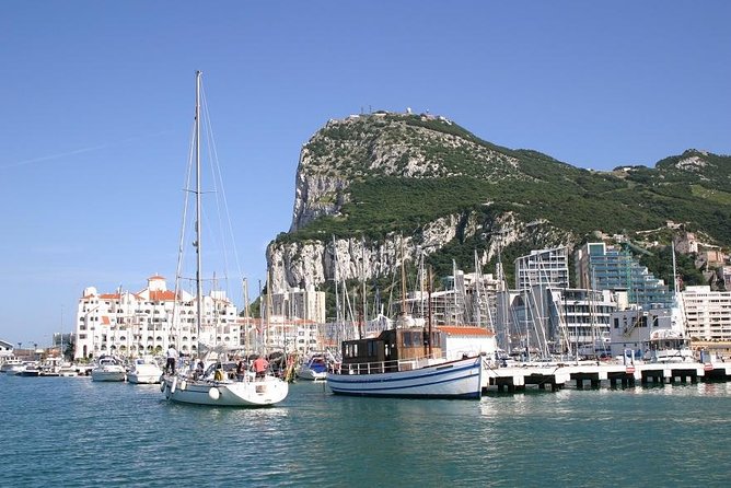 Gibraltar with St Michael Caves Guided Tour from Costa del Sol - Meeting the macaques on the Rock