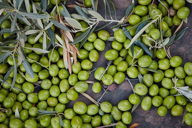 Gourmet Cooking Class & Culture in the rural Montes de Malaga. - A private experience with a social feel