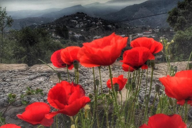 Gourmet Cooking Class & Culture in the rural Montes de Malaga. - Practical details that can make or break the day