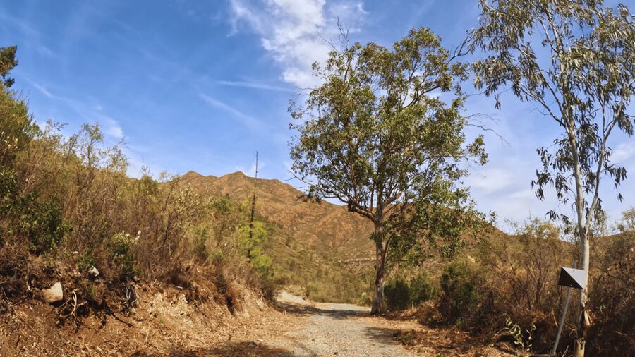 Guided Buggy Tour Mijas - How this tour compares with a larger buggy outing