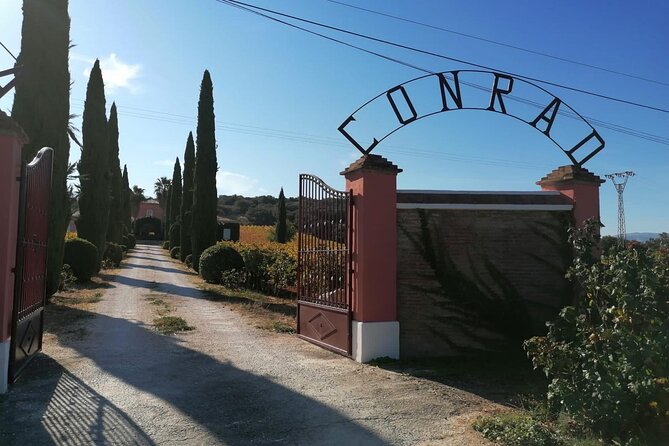 Guided Cellar Tour and wine tasting - Key points to know before booking