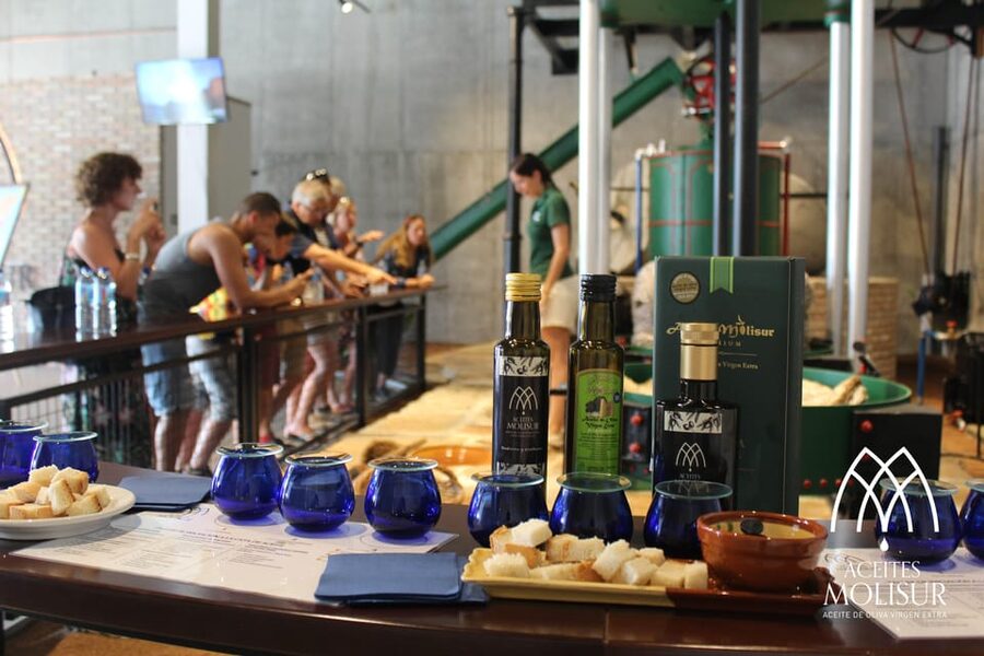 Guided tour and oil tasting at the Aceites Molisur factory - From olive grove to bottle at Aceites Molisur
