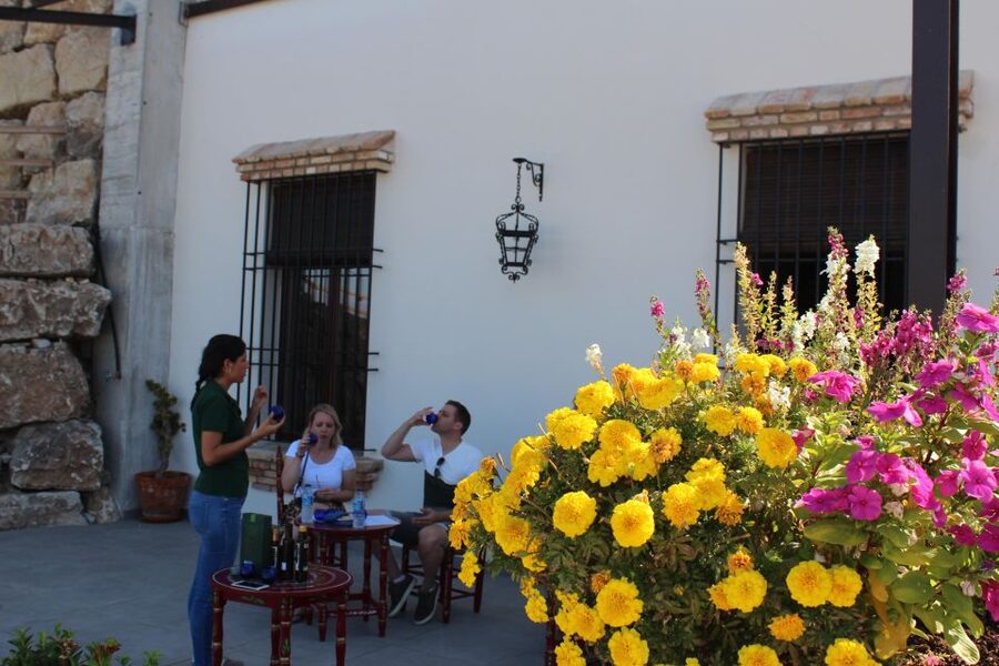 Guided tour and oil tasting at the Aceites Molisur factory - What $34 buys you
