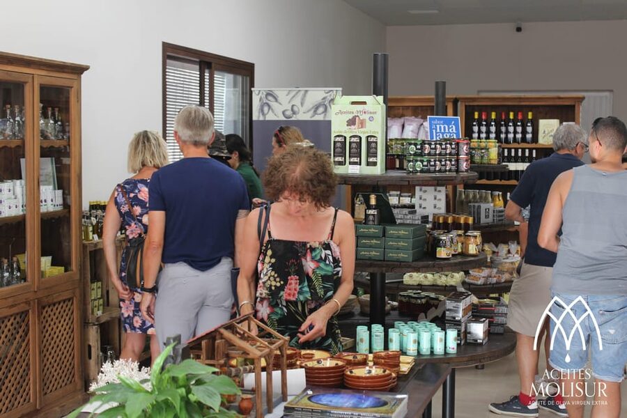 Guided tour and oil tasting at the Aceites Molisur factory - Timing, access, and what to bring