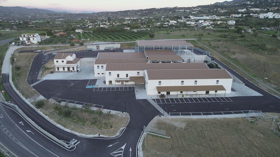 Guided tour and oil tasting at the Aceites Molisur factory - Should you book Aceites Molisur?