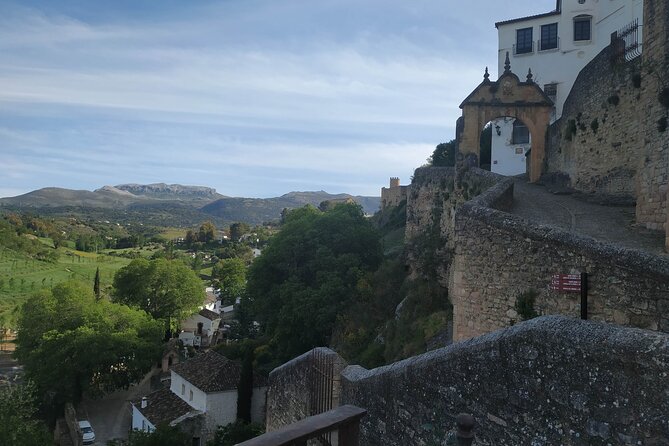 Guided tour of Ronda with an official guide - Cuenca Gardens, roses, and the gorge below