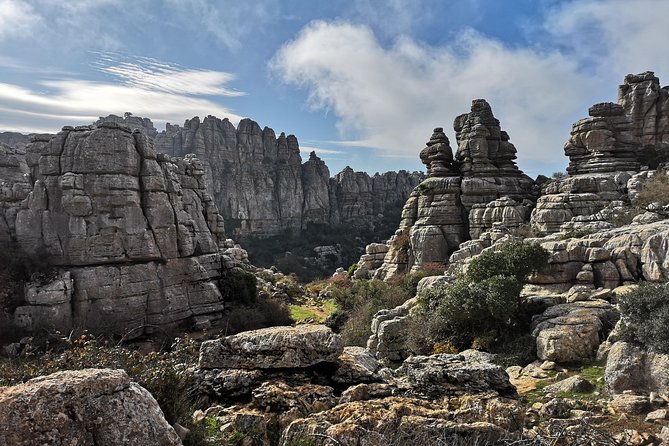 Guided tour of the Dolmens and El Torcal - The guides make the difference