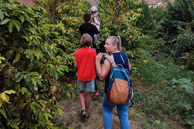 Guided Tour to the only coffee farm in Europe - Wildlife Along the Steep Slope