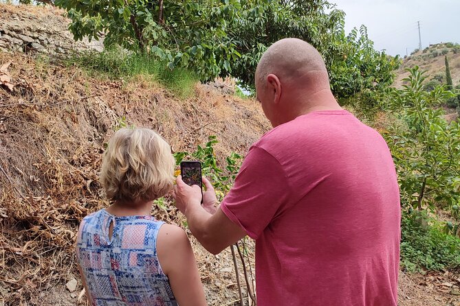 Guided Tour to the only coffee farm in Europe - Planning Your Visit From Malaga or Granada