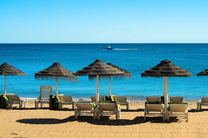 Half-Day Private Taxi Tour to Malaga Historic Center - How flexible is the private taxi?