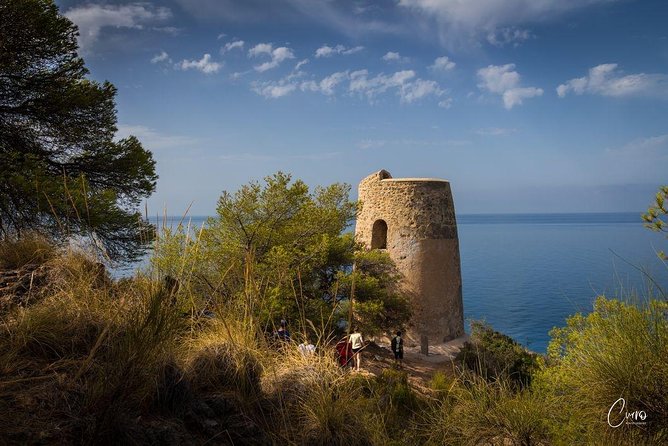 Hiking Natural Beaches & Snorkeling - Snorkeling and the beach picnic