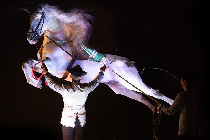 Horse and Flamenco Show in Malaga - What to expect from the flamenco section