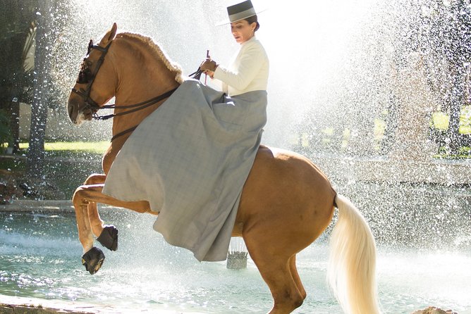 Horse and Flamenco Show in Malaga - Is the $41.03 price good value?
