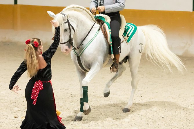 Horse and Flamenco Show in Malaga - Heat, seating, and practical comfort