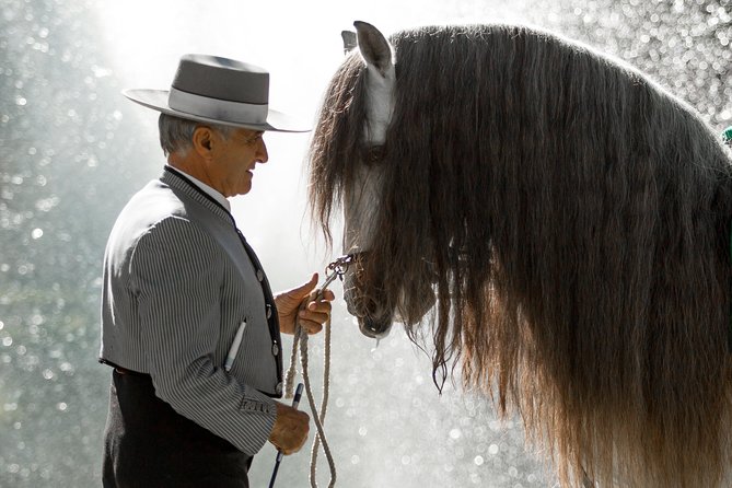 Horse and Flamenco Show in Malaga - Who will enjoy this evening most?