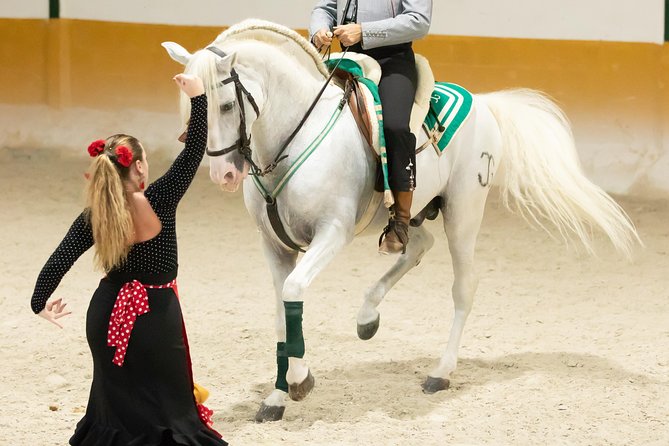 Horse and Flamenco Show in Malaga with Dinner - A traditional Andalusian dinner with drinks