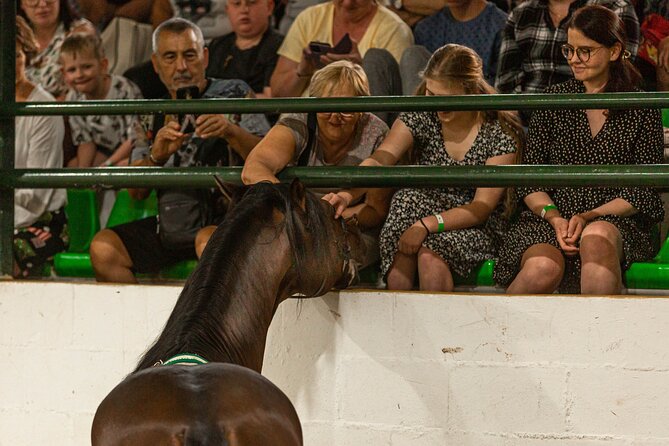 Horse and Flamenco Show in Malaga with Dinner - Practical planning for the $86.57 price