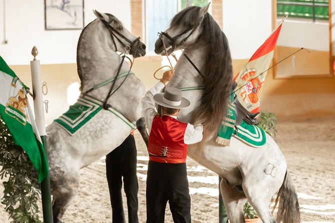 Horse and Flamenco Show in Malaga - The stable visit adds useful context