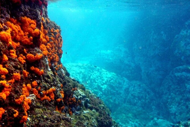 Kayak & Snorkel Tour in Cerro Gordo Natural Park, La Herradura - Why Cerro Gordo is best seen from a kayak