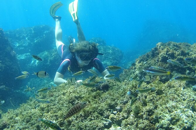 Kayak & Snorkel Tour in Cerro Gordo Natural Park, La Herradura - Paddling past caves, coves, and beaches