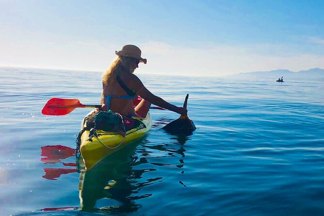 Kayak & Snorkel Tour in Cerro Gordo Natural Park, La Herradura - Snorkeling depends on the day