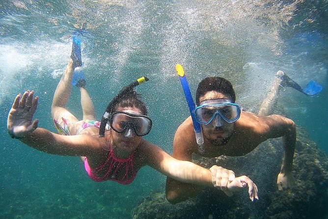 Kayak & Snorkel Tour in Cerro Gordo Natural Park, La Herradura - The guides make a real difference