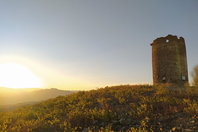 La Axarquia White Villages & Buddhist Stupa - SemiPrivate - Comares, the high point of the day
