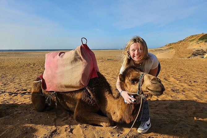 Luxury Malaga to Tangier Day Trip: Transfer, ferry, camel & Souks - From Malaga to Tangier by ferry